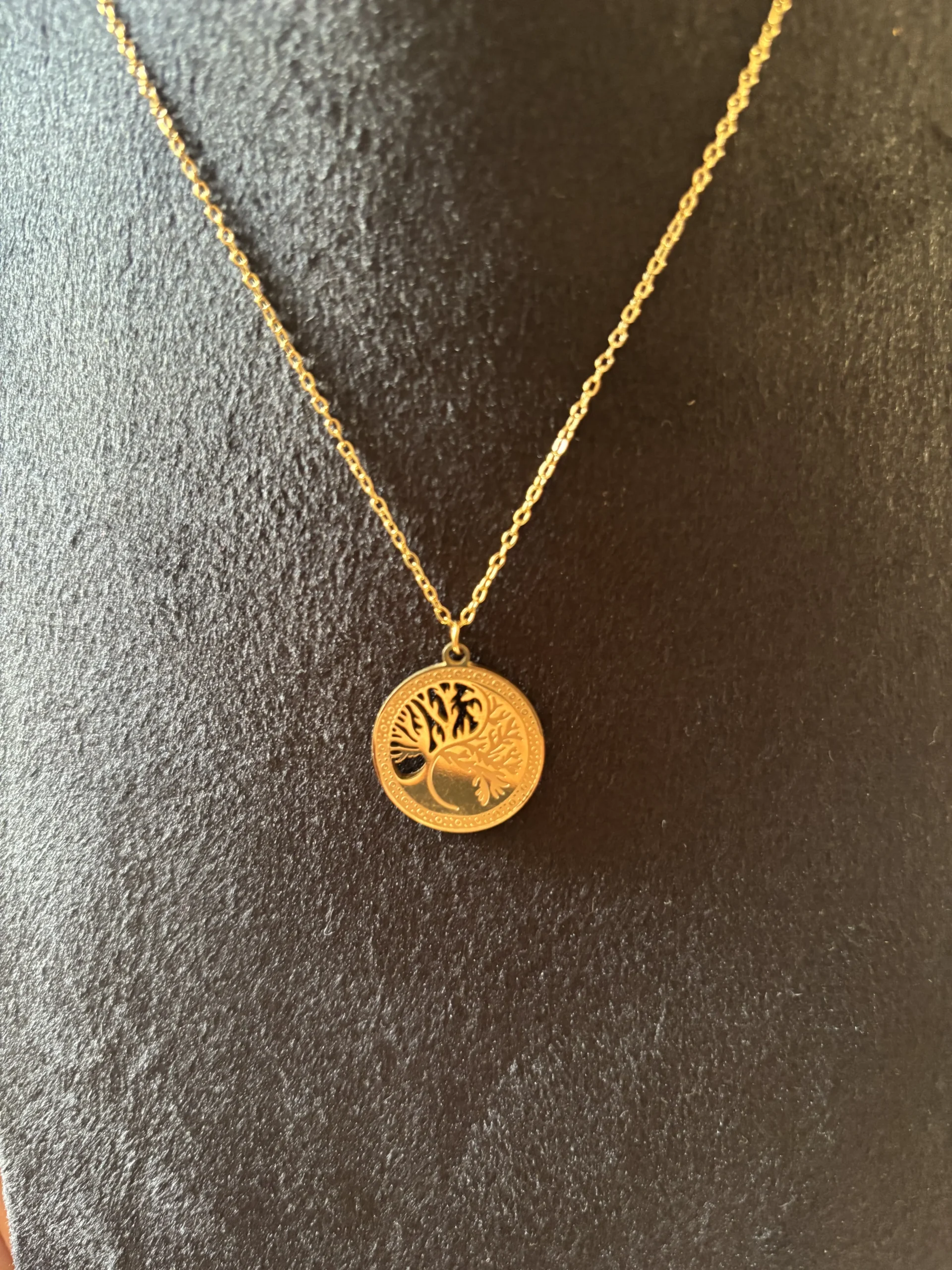 سلسلة الكرة الأرضية